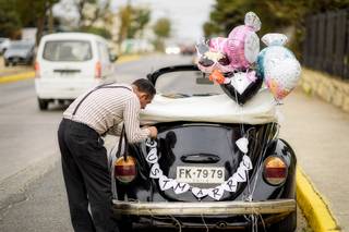 Escarabajos para Matrimonios