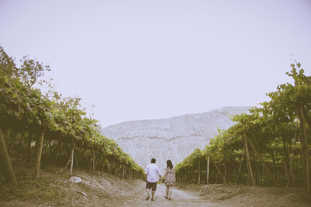 pareja camina tomada de la mano en el valle del elqui