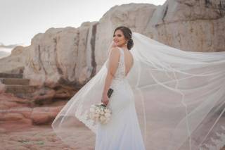 vestido de novia con velo