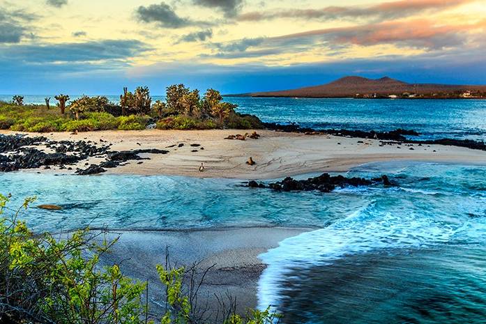 Conozcan las maravillas de las Islas Galápagos en su luna de miel