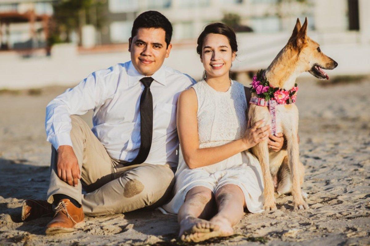 Cómo vestir a sus mascotas para el matrimonio?