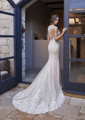 Charlie, Randy Fenoli