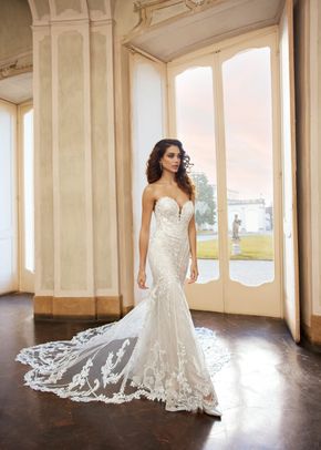 Deedee, Randy Fenoli