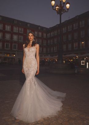 CLARE, Galia Lahav