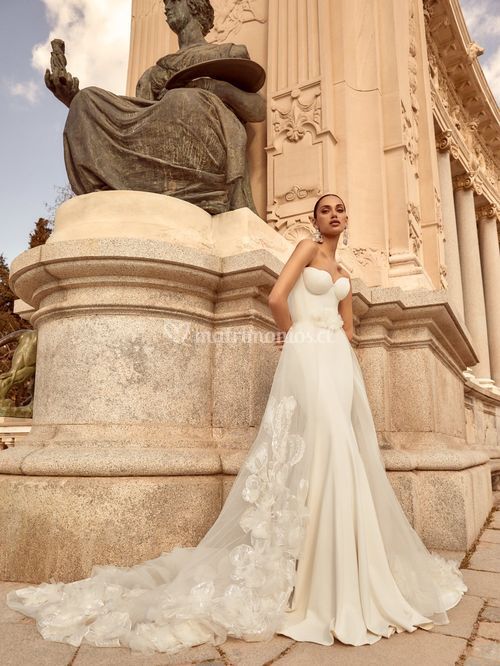 PALOMA, Galia Lahav