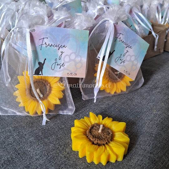 Tiana Souvenir