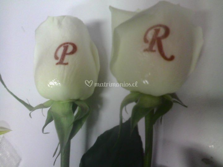 Enmagic Flores