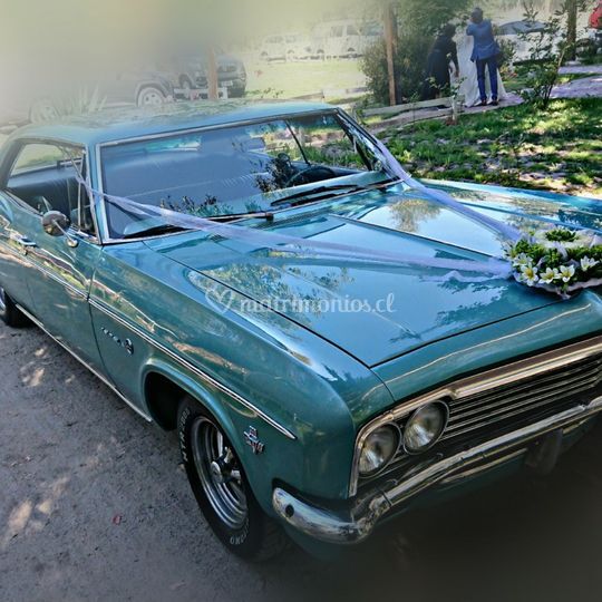 El Auto Verde