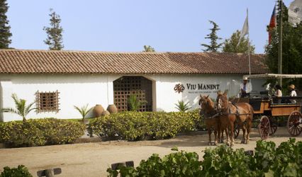 Viña Viu Manent
