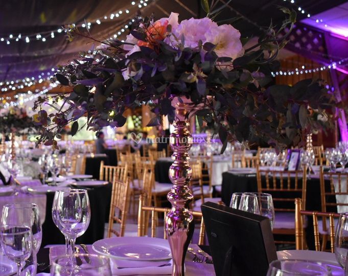 Deco Evento Sur