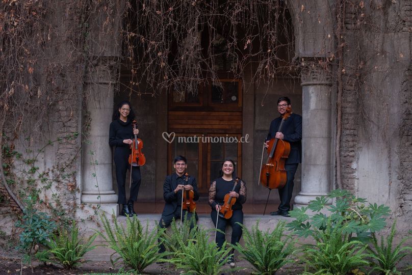 Cuarteto Cordillera