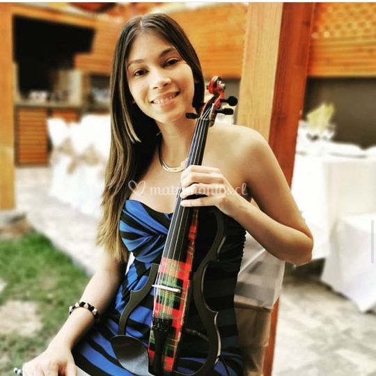 Ale Violinista