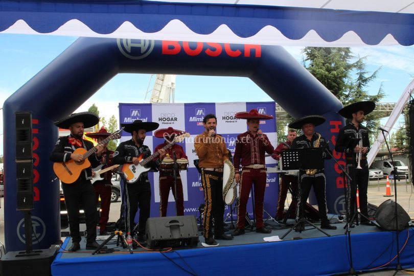 Mariachis Talca