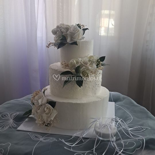 Ale Tortas