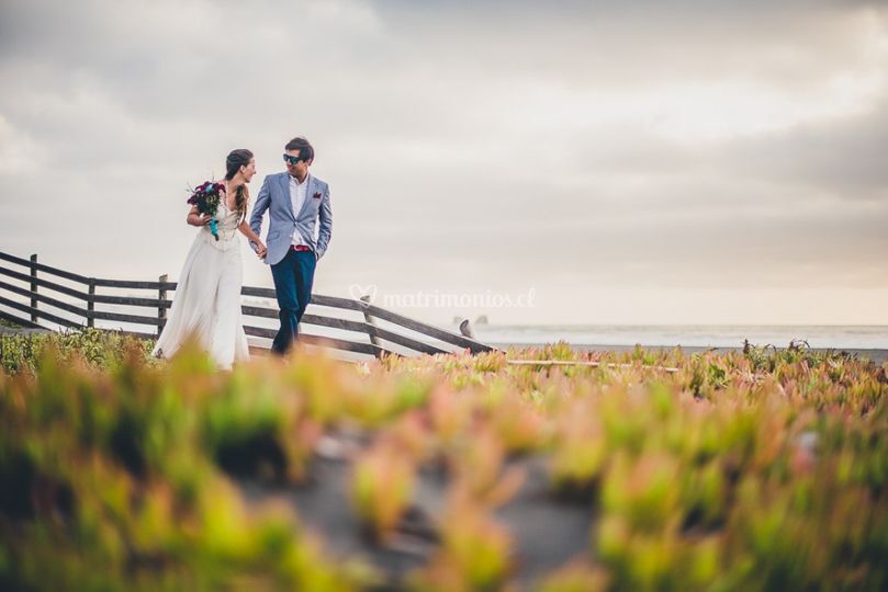 Playa Lobos