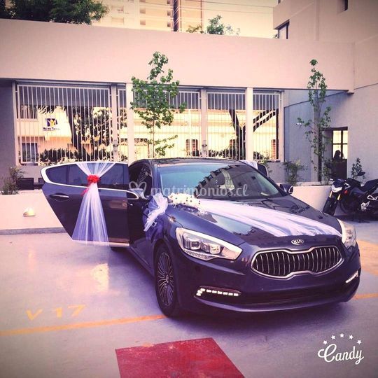 Transportes Premium