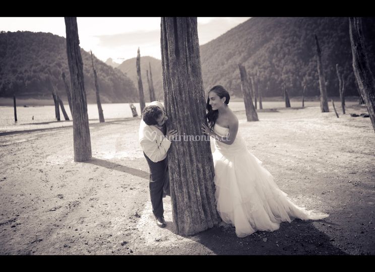 Fotografía de Matrimonios