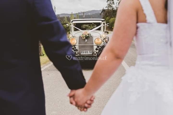 Transporte de Novios