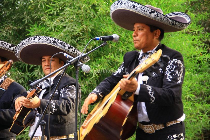 Mariachi Tierra Nueva