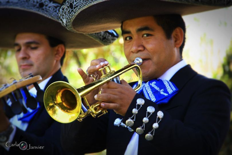 Mariachi Tierra Nueva