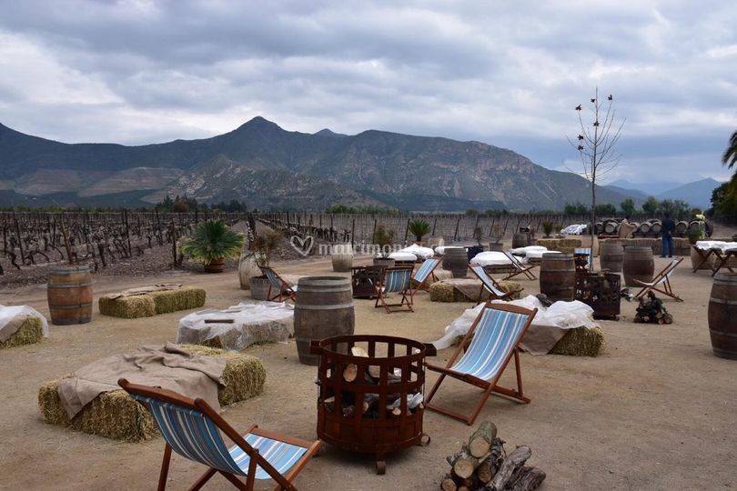 Viña Sánchez De Loria