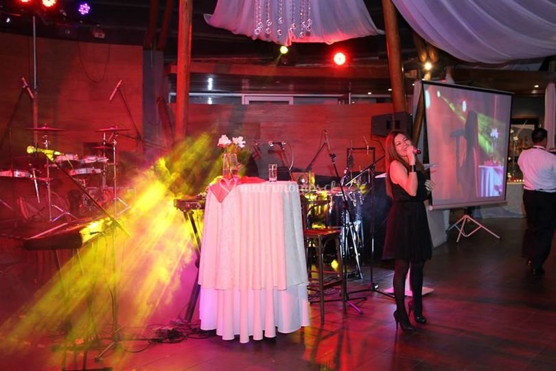Viviana Sánchez Cantante