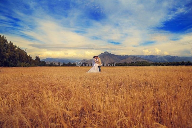 Fotografía tu Matrimonio