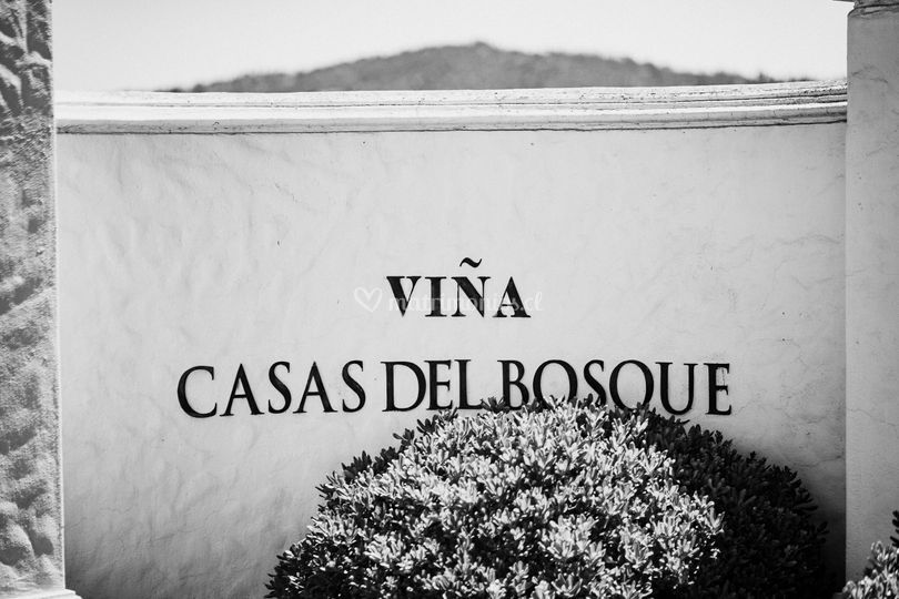 Casas Del Bosque
