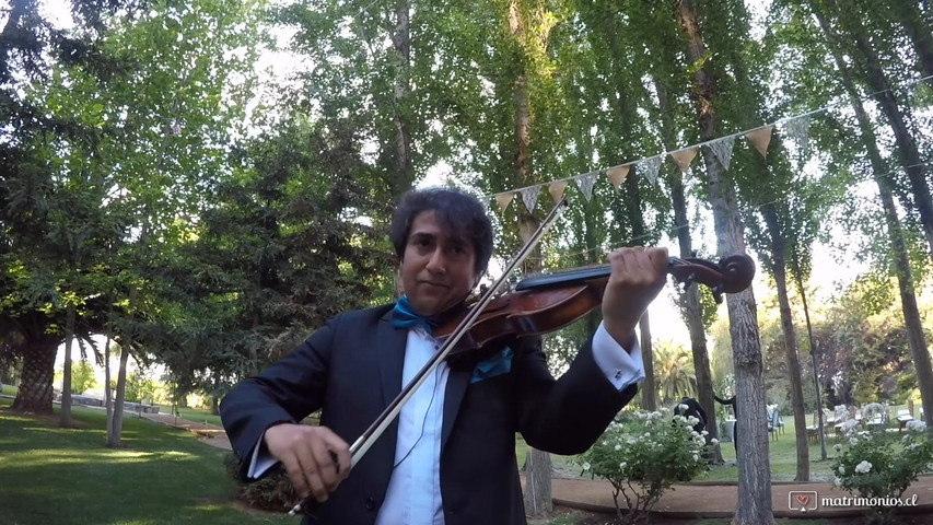 Can't help falling in love - Elvis Presley / Rodrigo Venegas Violinista