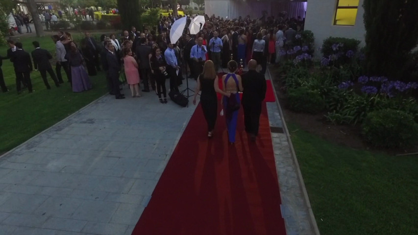 Alfombra roja