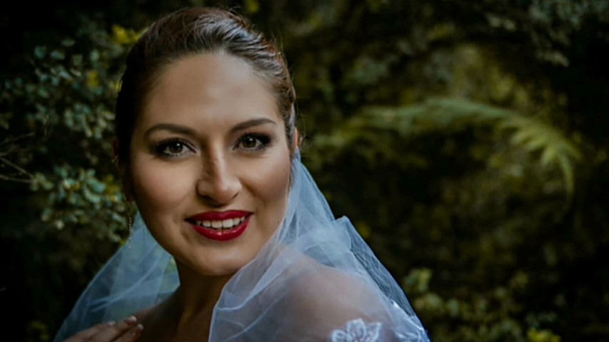 Novias y Fiesta