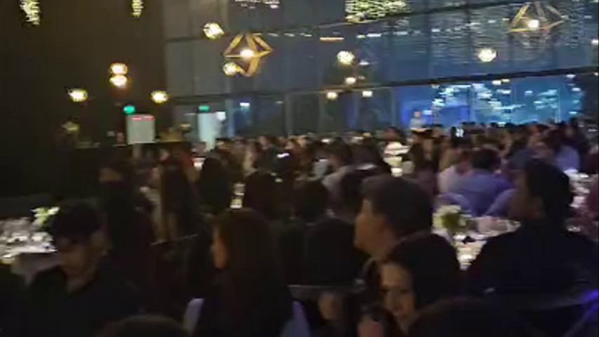 Presentación y animación