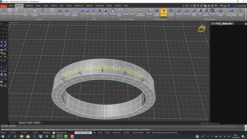 Modelado anillo en Rhinogold