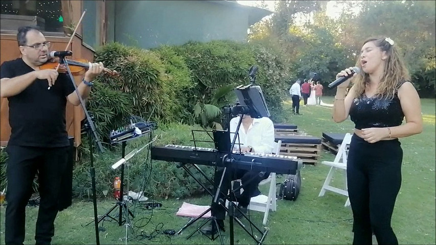 Música para cóctel de matrimonio