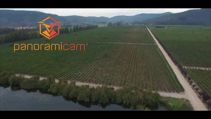 Instalaciones William Cole Vineyards 