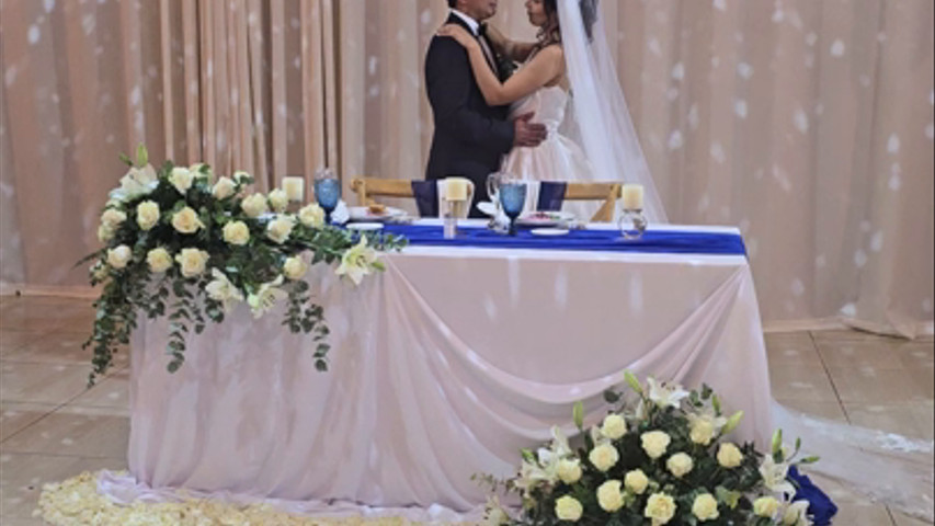 Novios