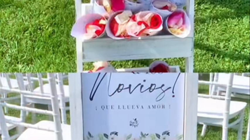Minerva Diseño & Producción