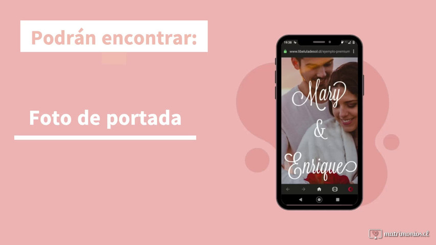 ¿Qué ven los invitados?
