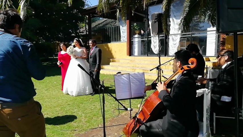 Música ideal