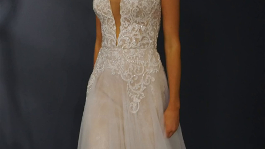 Miami Novias