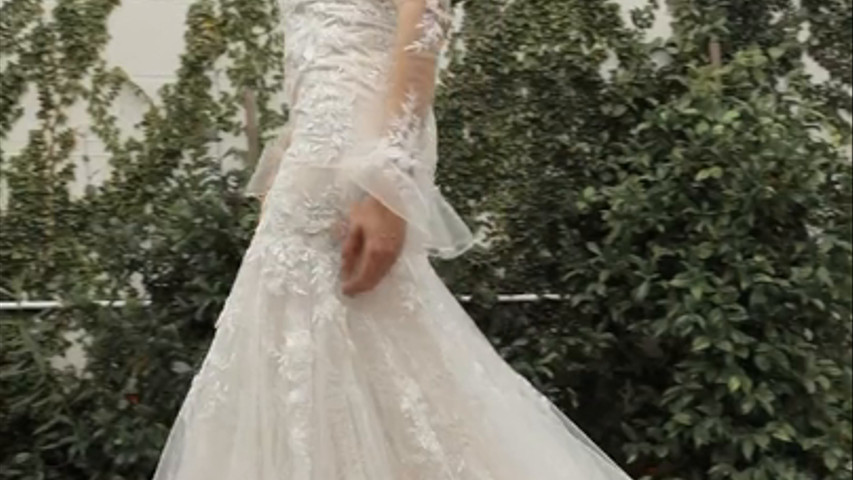 Miami Novias