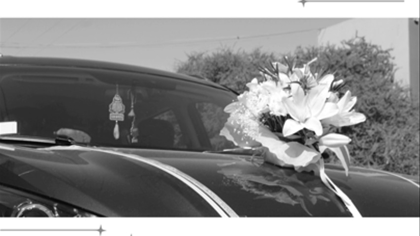 Fotos de dos matrimonios 
