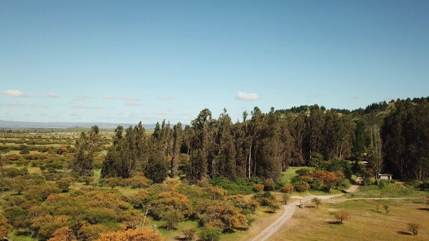 Hacienda Histórica Marchigüe