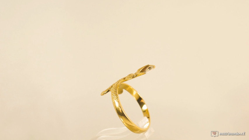 Anillo Serpiente