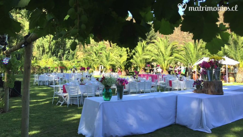 Eventos Damaris