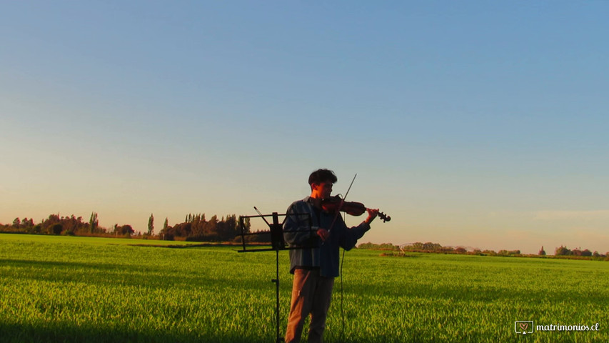 Fabián Guzmán - Violinista