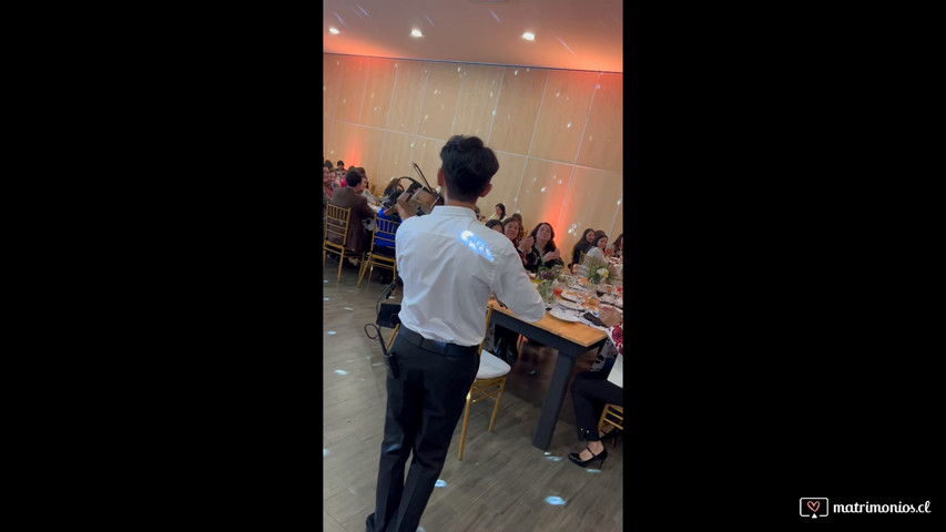 Vlog