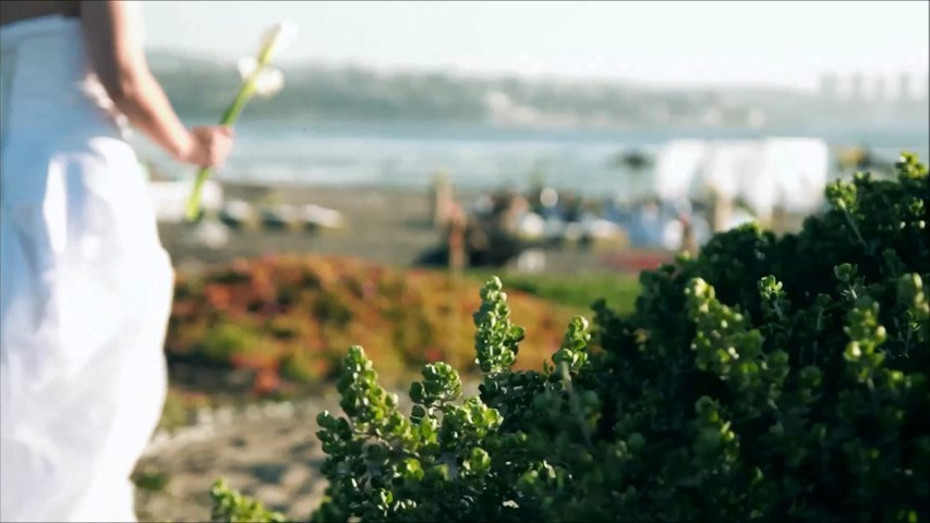 Matrimonio en la playa