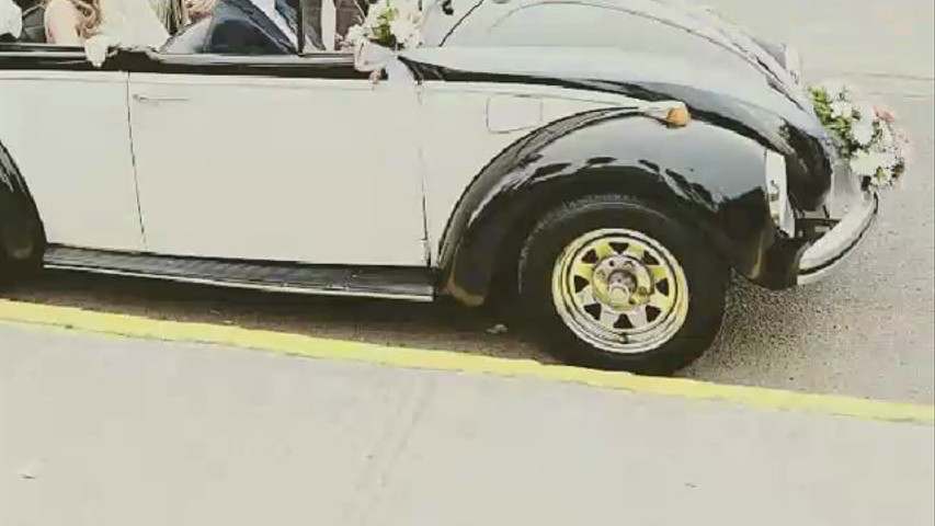 Escarabajos para matrimonios