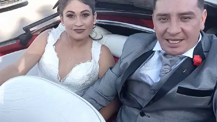 Escarabajos para Matrimonio
